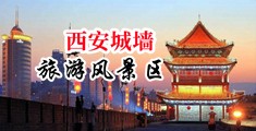 性感美女操逼漏乳中国陕西-西安城墙旅游风景区